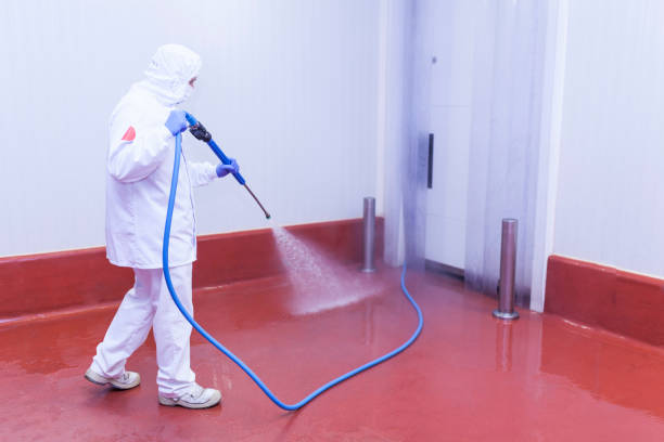 Best Pool Deck Cleaning  in Mount Repose, OH